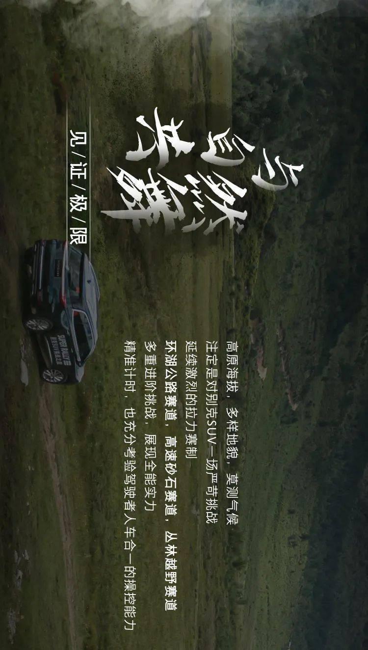 骗子的谎言